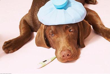 《星球大战绝地：幸存者》7分钟试玩演示视频